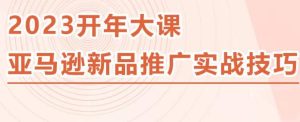 2023亚马逊新品推广实战技巧，线下百万美金课程的精简版，简单粗暴可复制，实操性强的推广手段-88共享