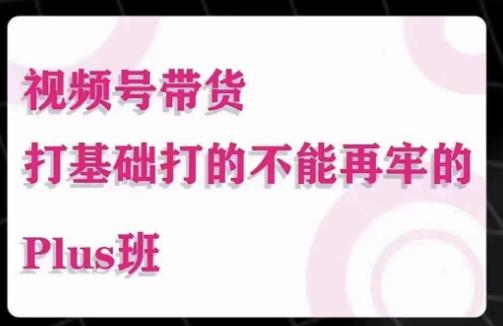 大播汇·视频号带货Puls班，视频号底层逻辑，起号自然流鱼塘等玩法-88共享