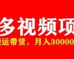多多带货视频快速50爆款拿带货资格，搬运带货，月入30000【全套脚本+详细玩法】-88共享