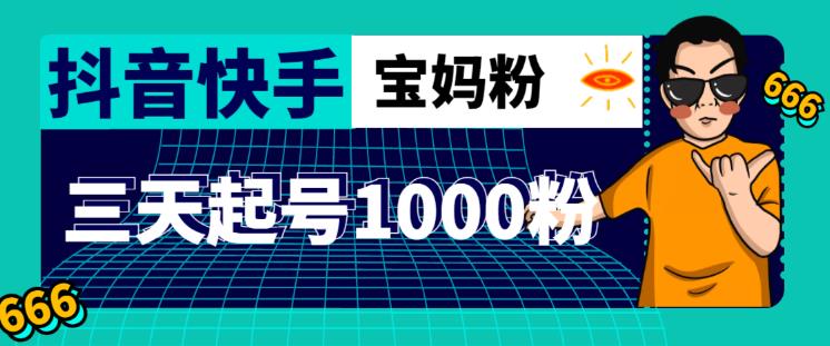 抖音快手三天起号涨粉1000宝妈粉丝的核心方法【详细玩法教程】-88共享