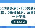2023拼多多0-100实战运营教程,0基础起步,运营知识一手掌握-88共享