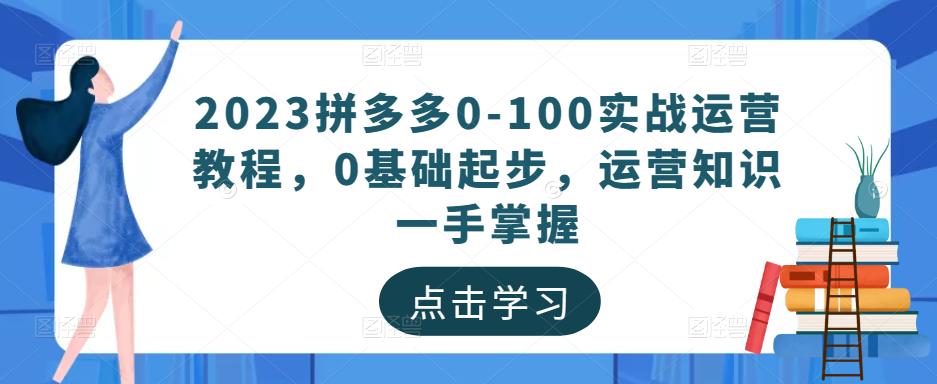 2023拼多多0-100实战运营教程，0基础起步，运营知识一手掌握-88共享