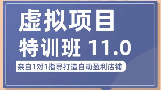 陆明明·虚拟项目特训班（10.0+11.0），0成本获取虚拟素材，0基础打造自动盈利店铺-88共享