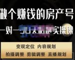 刘广标·同城房产号线上陪跑课,拍摄、剪辑、写文案、直播,做一个具有潜力价值的房产号-88共享