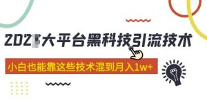 大平台黑科技引流技术,小白也能靠这些技术混到月入1w+(2022年的课程)-88共享