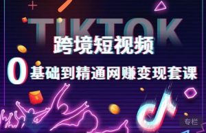 跨境短视频TIKTOK 0基础到精通网赚变现套课,跨境短视频独立站带货变现技巧-88共享