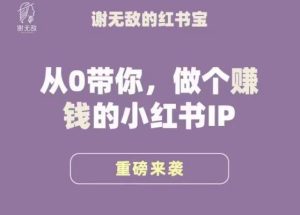 谢无敌·小红书运营大宝典,从0带你做个赚钱的小红书IP-88共享