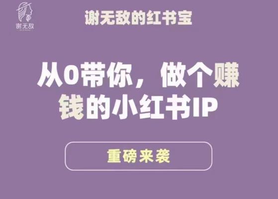 谢无敌·小红书运营大宝典，从0带你做个赚钱的小红书IP-88共享