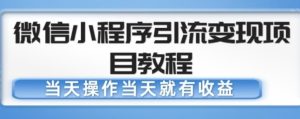 微信小程序引流变现项目教程，当天操作当天就有收益，变现不再是难事-88共享