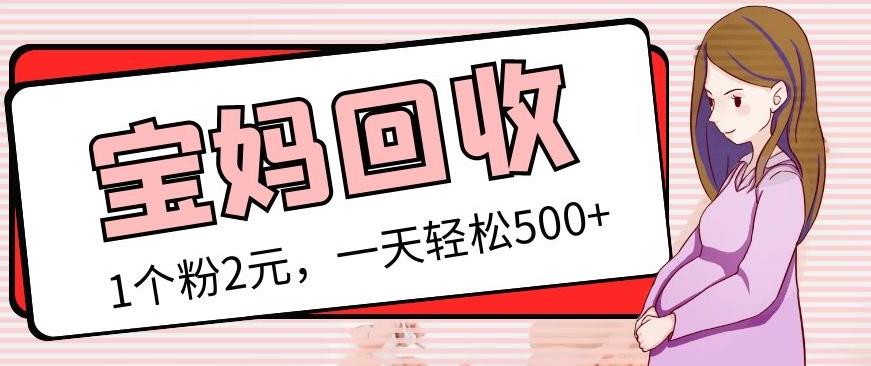 最新宝妈粉回收变现计划及胎教音乐高端变现玩法全套教程！（非老玩法）-88共享