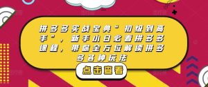 拼多多实战宝典“初级到高手”,新手小白必看拼多多课程,带你全方位解读拼多多各种玩法-88共享