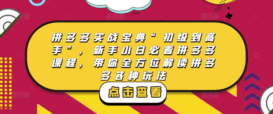 拼多多实战宝典“初级到高手”，新手小白必看拼多多课程，带你全方位解读拼多多各种玩法-88共享