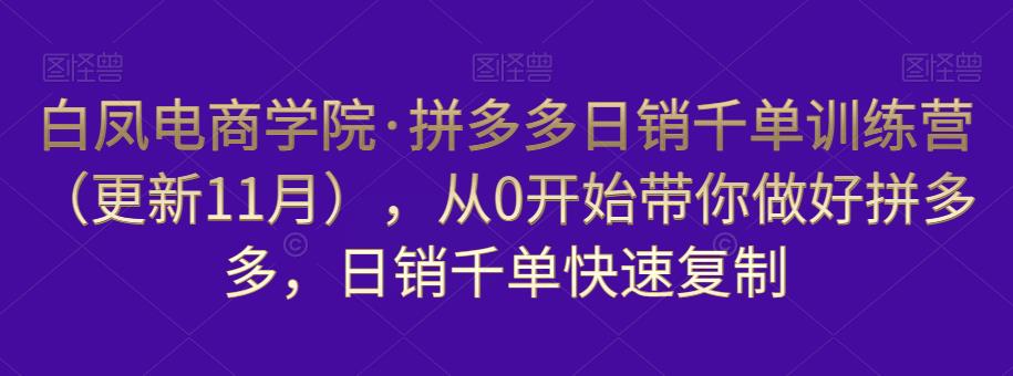 白凤电商学院·拼多多日销千单训练营，从0开始带你做好拼多多，日销千单快速复制（更新知2023年3月）-88共享