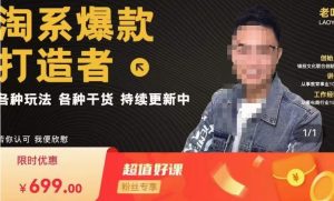 锋投老叶全店动销,淘系干货汇总,各种玩法,淘系爆款打造者-88共享