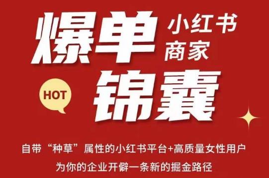 无畏·小红书商家爆单锦囊，掌握小红书各大规则，快速精准抢占行业和市场-88共享