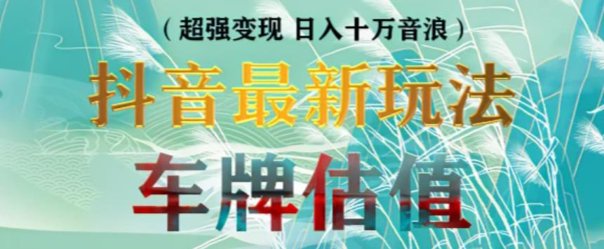 抖音最新无人直播变现直播车牌估值玩法项目，轻松日赚几百+【详细玩法教程】-88共享