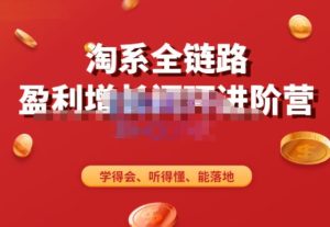 淘系全链路盈利增长闭环进阶营,融合全店动销,学得会、听得懂、能落地!-88共享