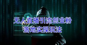 外面收费3980的无人直播引流创业粉落地实操玩法，单日引100+精准创业粉-88共享
