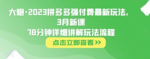 大炮·2023拼多多强付费最新玩法，3月新课​78分钟详细讲解玩法流程-88共享
