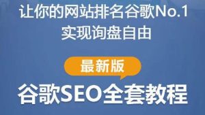 谷歌SEO实战教程:如何让你的网站在谷歌排名第一,内容从入门到高阶,适合个人及团队-88共享