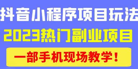 抖音小程序9.0新技巧，2023热门副业项目，动动手指轻松变现-88共享