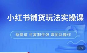 小红书铺货玩法实操课，流量大，竞争小，非常好做，新赛道，可复制性强，可团队操作-88共享