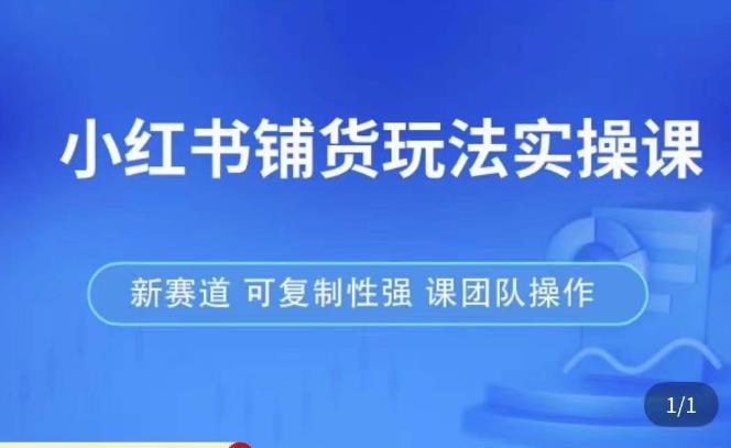 小红书铺货玩法实操课，流量大，竞争小，非常好做，新赛道，可复制性强，可团队操作-88共享