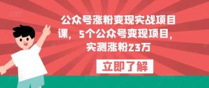 公众号涨粉变现实战项目课，5个公众号变现项目，实测涨粉23万-88共享