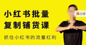 张宾·小红书批量复制铺货课，小红书0-1快速起号变现玩法，抓住小红书的流量红利（更新2023年3月）-88共享