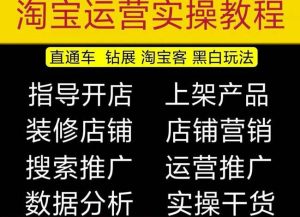 2023淘宝开店教程0基础到高级全套视频网店电商运营培训教学课程-88共享