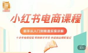 小红书电商新手入门到精通实操课，从入门到精通做爆款笔记，开店运营-88共享