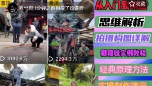 东方糖糖妹抖音短视频全套实战课思维+拍摄+剪辑+运营,从入门到精通-88共享