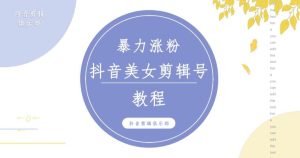 抖音快手暴力涨粉美女混剪视频教程，百分百过原创图片教程！附带违规申诉方法-88共享