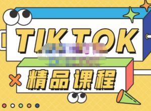 电商孵化中心·TikTok精品课程，教你玩转海外抖音，低成本创业，带您从0开始玩转TikTok-88共享