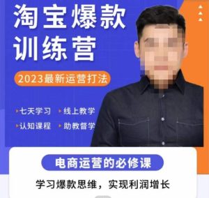 爱上黄昏·淘宝爆款训练营，2023最新运营打法，学习爆款思维，实现利润增长-88共享