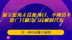 淘宝蓝海无货源项目,不囤货不推广只做冷门高利润代发,花一半时间赚10倍钱-88共享