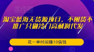 淘宝蓝海无货源项目，不囤货不推广只做冷门高利润代发，花一半时间赚10倍钱-88共享