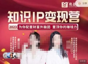 鹿盈盈-知识IP变现实操营,普通人可复制的知识产品落地实操课,带你打通知识IP变现底层逻辑-88共享