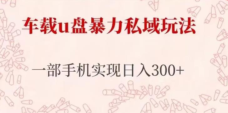 车载u盘暴力私域玩法，长期项目，仅需一部手机实现日入300+-88共享