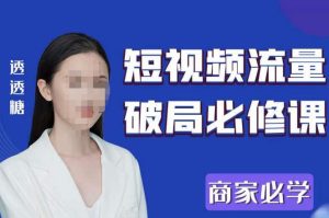 2023最新透糖短视频流量破局必修课——商家必学-88共享