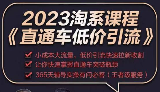 2023直通车低价引流玩法课程，小成本大流量，低价引流快速拉新收割，让你快速掌握直通车突破瓶颈-88共享