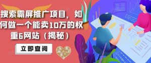 搜索霸屏推广项目,如何做一个能卖10万的权重6网站(揭秘)-88共享