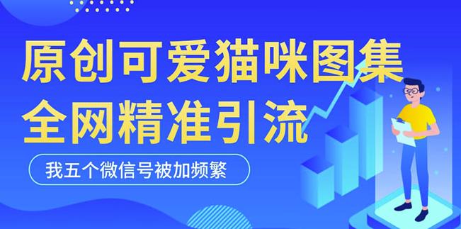 黑科技纯原创可爱猫咪图片，全网精准引流，实操5个VX号被加频繁-88共享