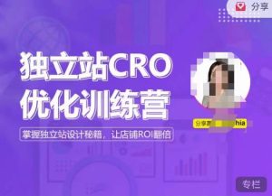 独立站CRO优化训练营,掌握独立站设计秘籍,打造高转化的独立站,让店铺ROI翻倍-88共享