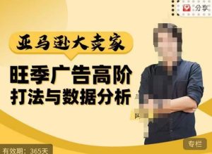 阿甘·亚马逊大卖家广告高阶打法与数据分析,走出传统广告误区;揭秘大卖惯用打法;数据驱动广告决策-88共享