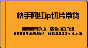 2023爆火的快手网红IP切片，号称日佣5000＋的蓝海项目，二驴的独家授权-88共享