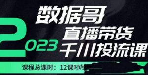 数据哥2023直播电商巨量千川付费投流实操课，快速掌握直播带货运营投放策略-88共享