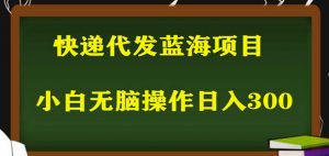 2023最新蓝海快递代发项目，小白零成本照抄也能日入300+-88共享