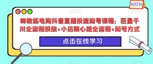 峰教练电商抖音直播投流起号课程：巨量千川全流程投放+小店随心推全流程+起号方式-88共享
