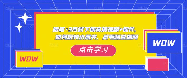 哈哥·3月线下实操课高清视频+课件，如何玩转小而美，高毛利直播间-88共享